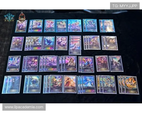 9游会老哥为玩家提供实用的游戏装备搭配建议，提升你的战斗表现和胜率